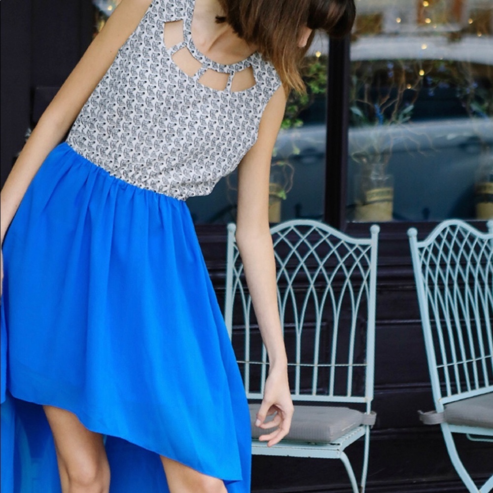 Miss Patina Zebra Print Hi-Low Dress